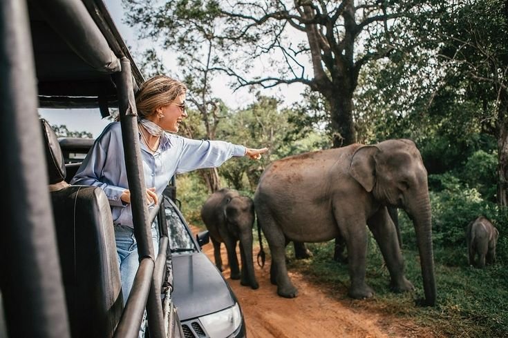 Yala National Park	